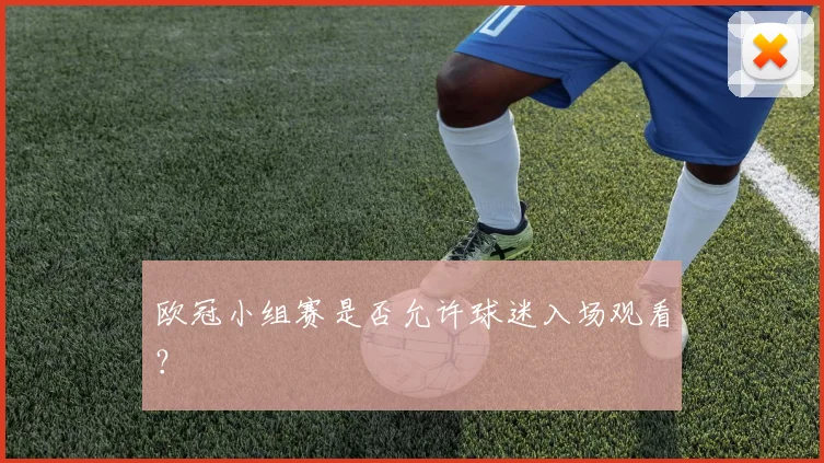 欧冠小组赛是否允许球迷入场观看？